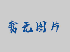广东省电子税务局增值税（电子）普通发票代开操作手册